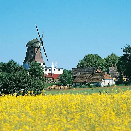 X Daire Rudkøbing